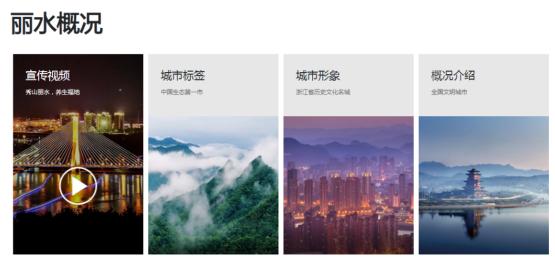 丽水市产业招商云图为招商引资数字赋能